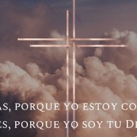gadiel contreras